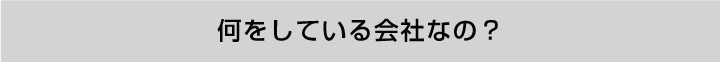 何をしている会社なの？
